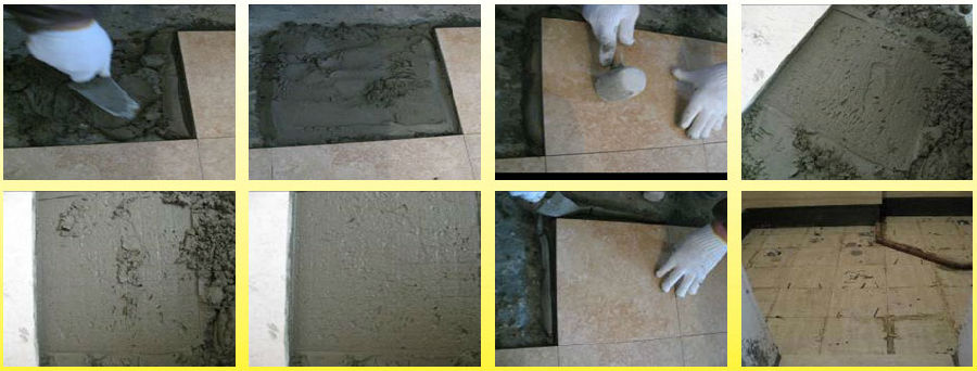 1513220470189088678.jpg 5589245bbdc35.jpg